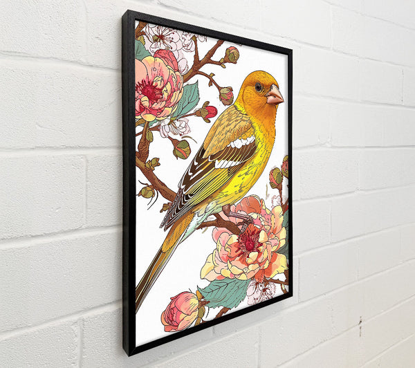 Golden Bird