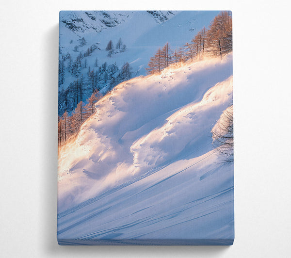  A Canvas Print of Golden Snow Avalanche Canvas Wall Art