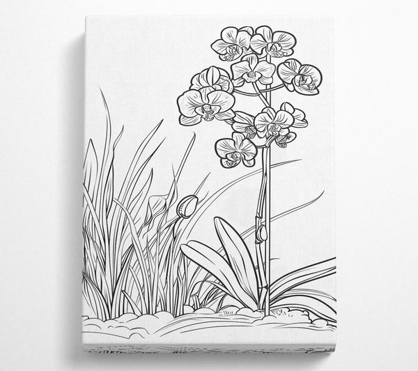  A Canvas Print of White Orchid Bloom Canvas Print