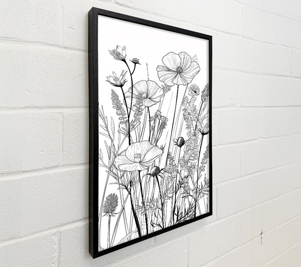 White Wildflowers Bloom