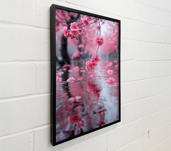 Pink Blossom Reflection