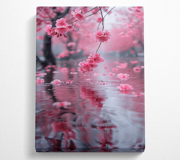  A Canvas Print of Pink Blossom Reflection Canvas Print