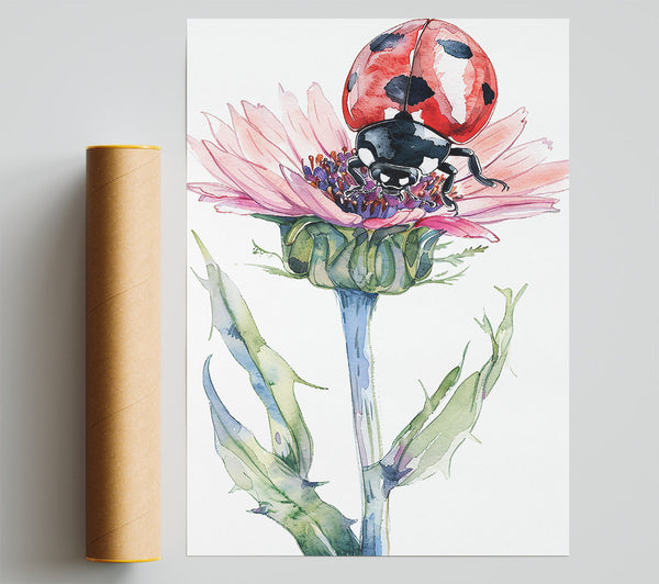 Pink Lady On Thistle Giclee Print