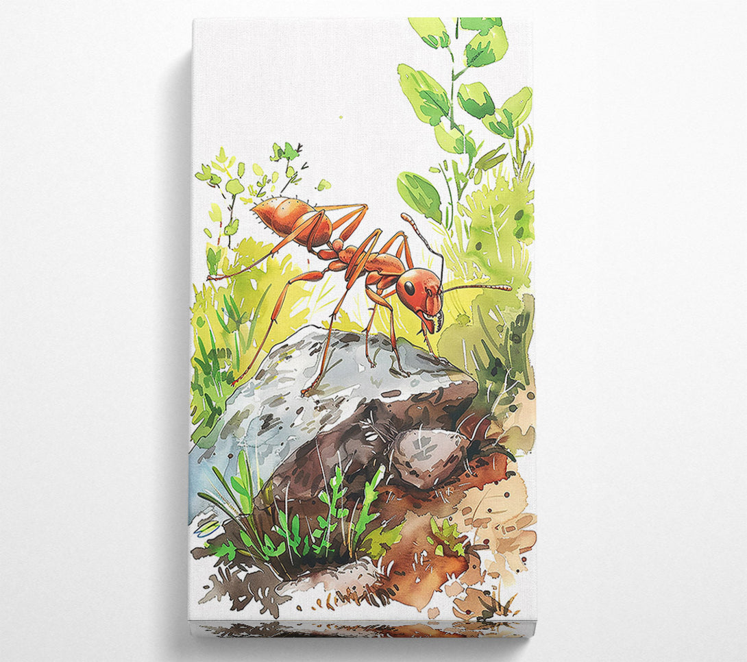  A Canvas Print of The Red Ant'S Rock Canvas Art