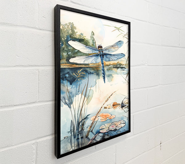 Azure Dragonfly Pond