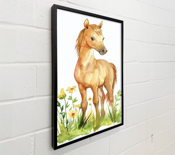Golden Foal In Bloom