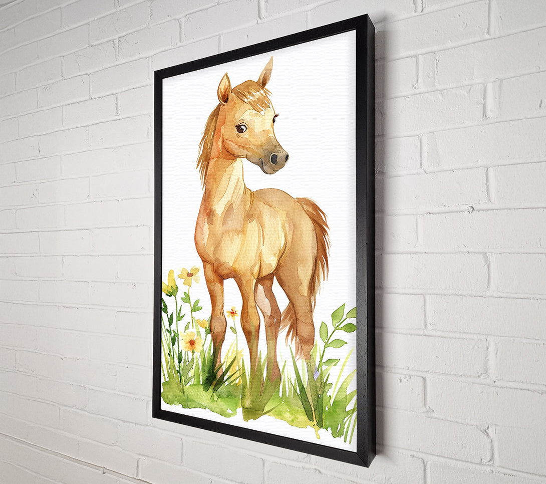  A Canvas Print of Golden Foal In Bloom Canvas Print