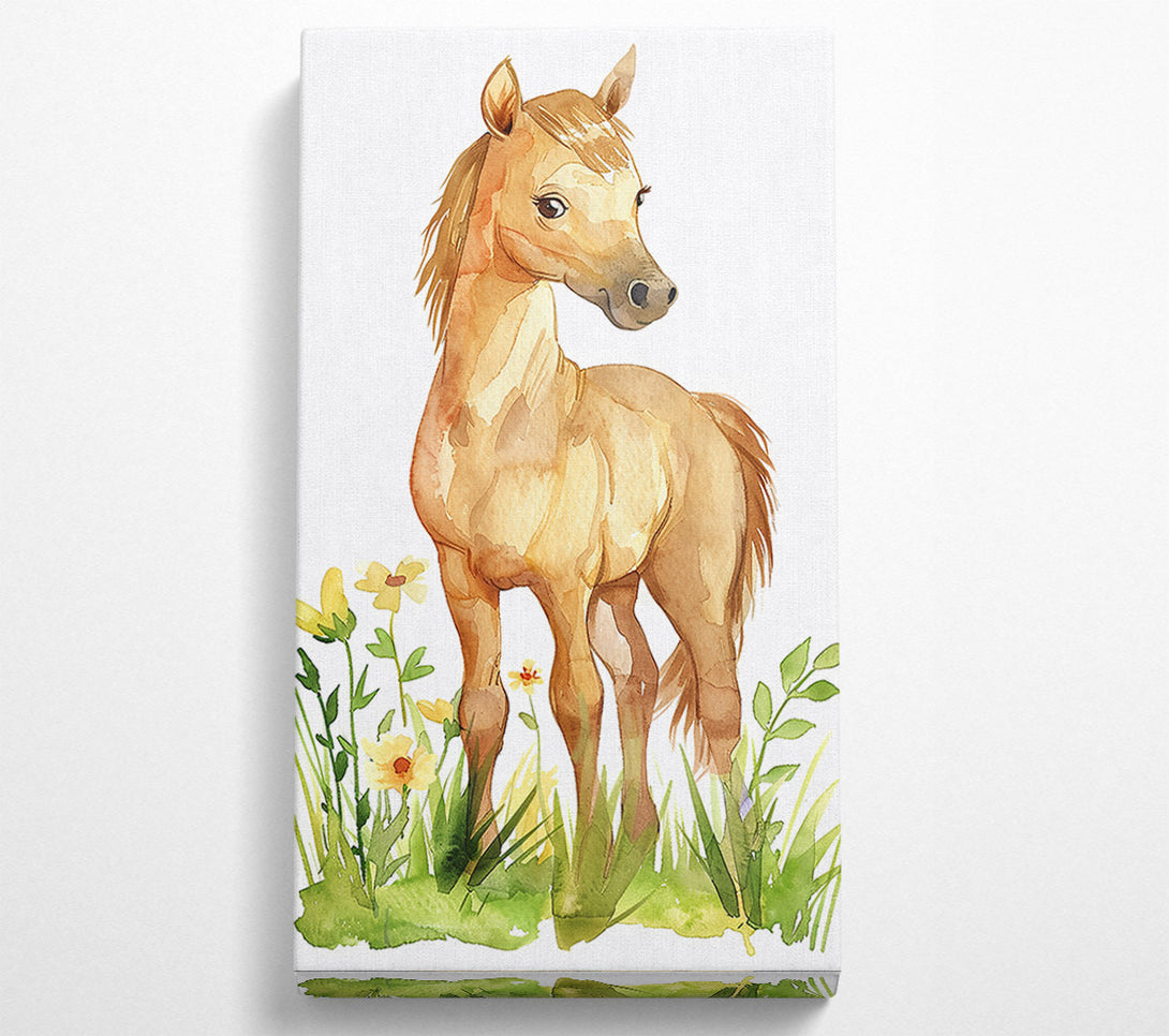  A Canvas Print of Golden Foal In Bloom Canvas Print