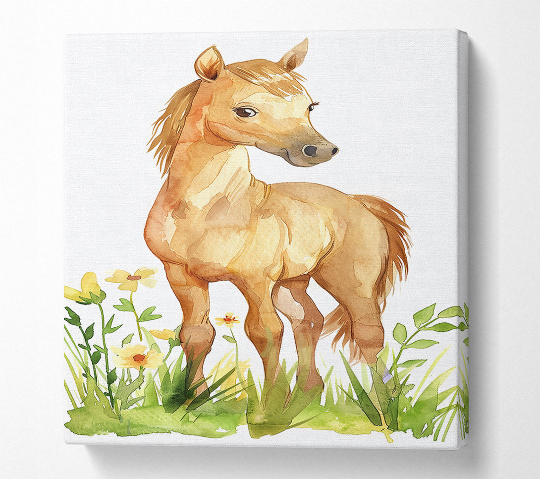  A Canvas Print of Golden Foal In Bloom Canvas Print