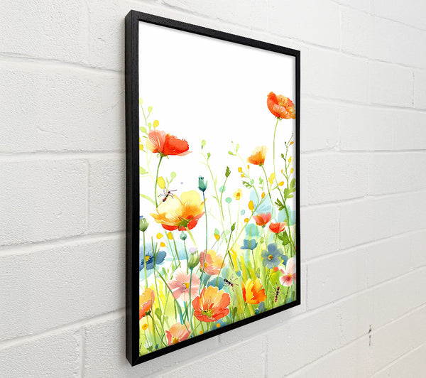 Orange Summer Meadow