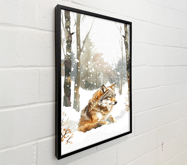 Brown Wolf In Winter