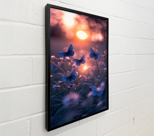 Blue Butterflies At Dusk