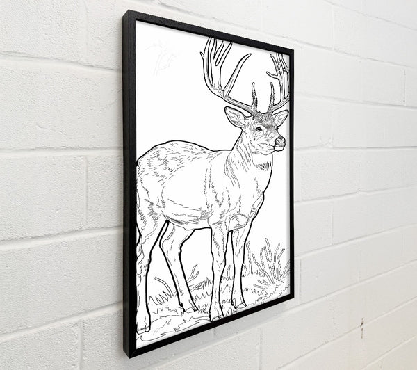 Brown Antlered Majesty