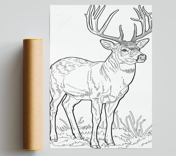 Brown Antlered Majesty Giclee Print