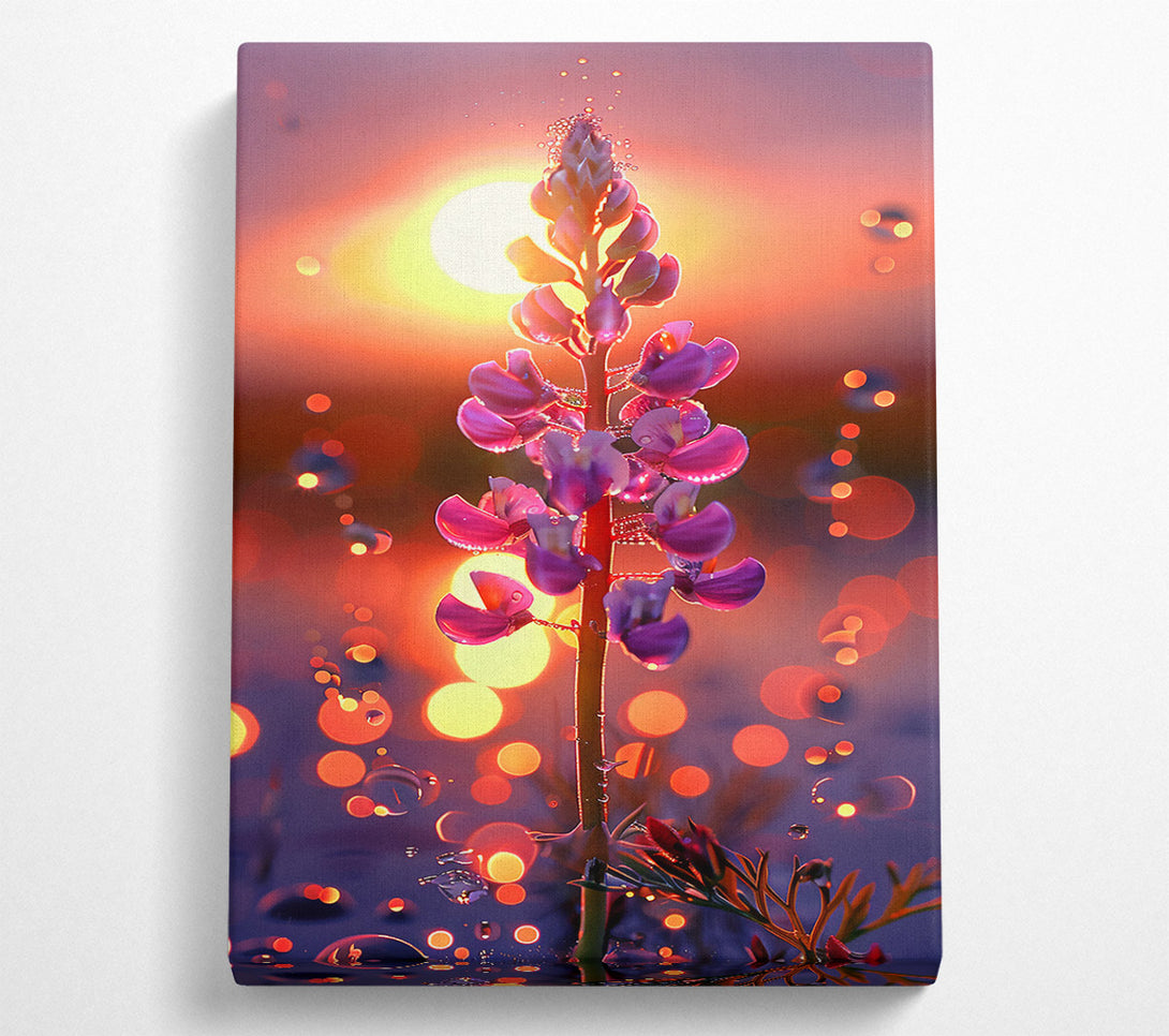  A Canvas Print of Pink Sunset Bloom Canvas Art
