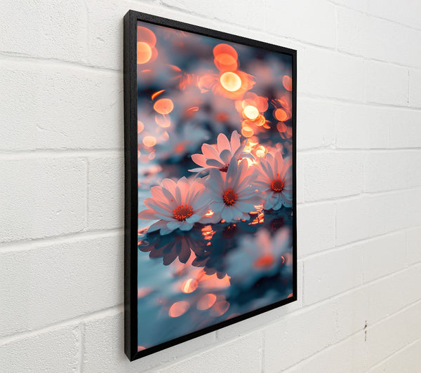 Orange Bloom Reflection