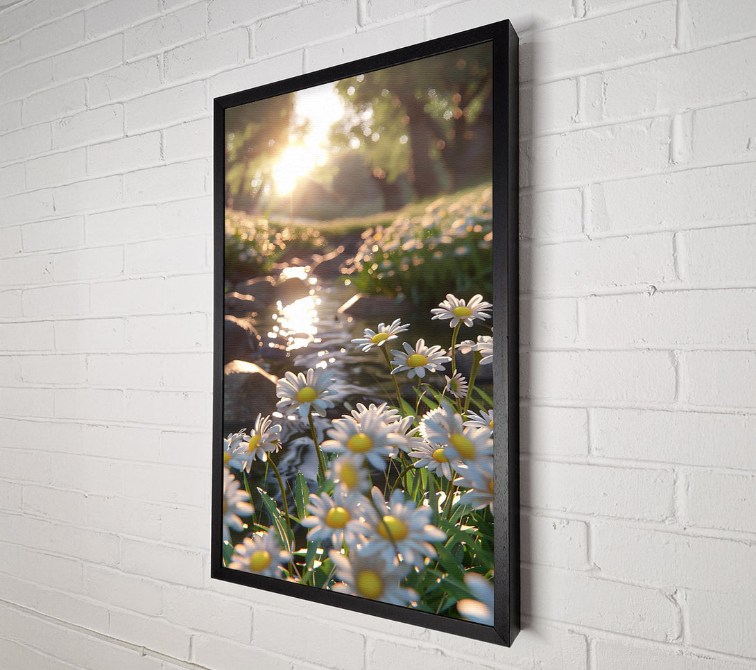  A Canvas Print of Golden Stream Daisies Canvas Wall Art