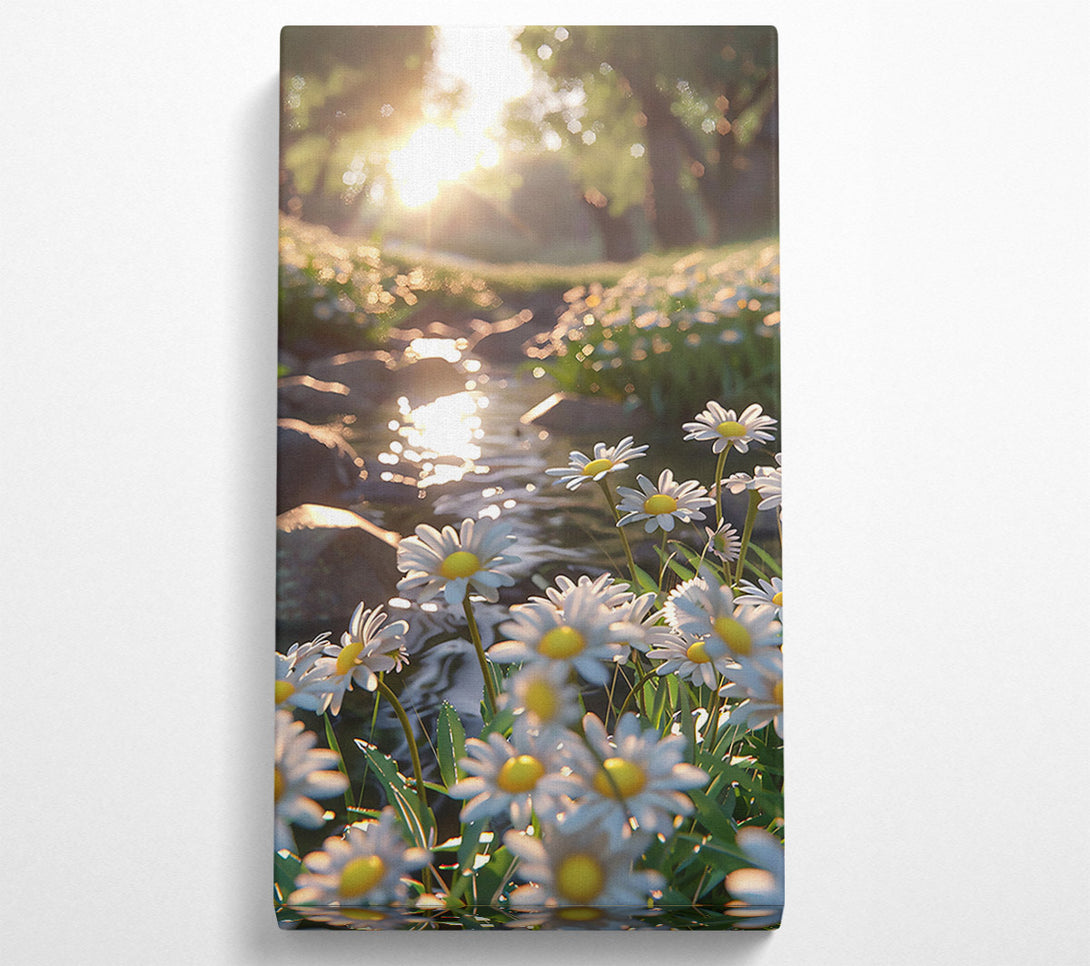  A Canvas Print of Golden Stream Daisies Canvas Wall Art