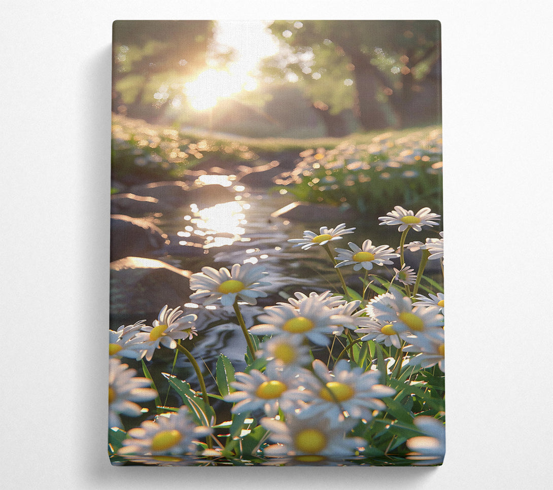  A Canvas Print of Golden Stream Daisies Canvas Wall Art
