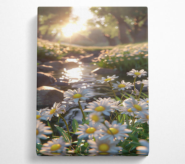  A Canvas Print of Golden Stream Daisies Canvas Wall Art