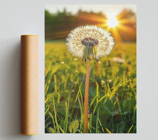 Golden Dandelion Wish Print