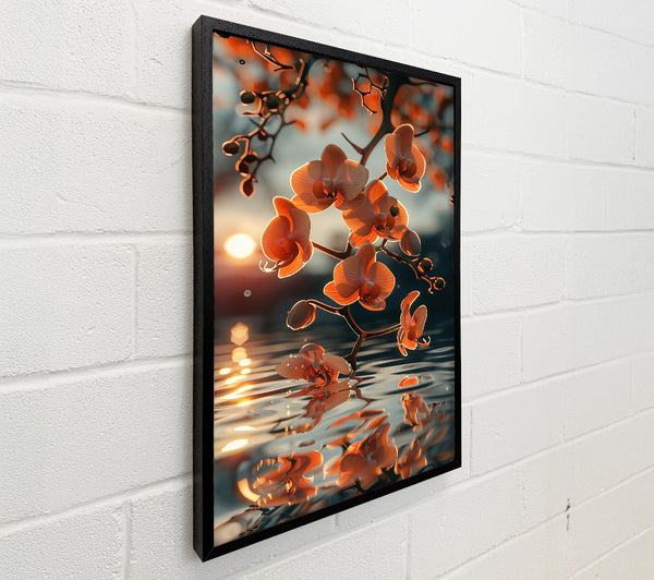 Sunset Peach Reflection