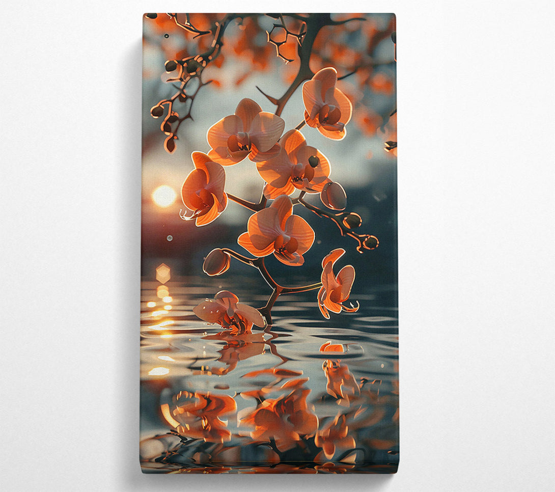 A Canvas Print of Sunset Peach Reflection Canvas Print