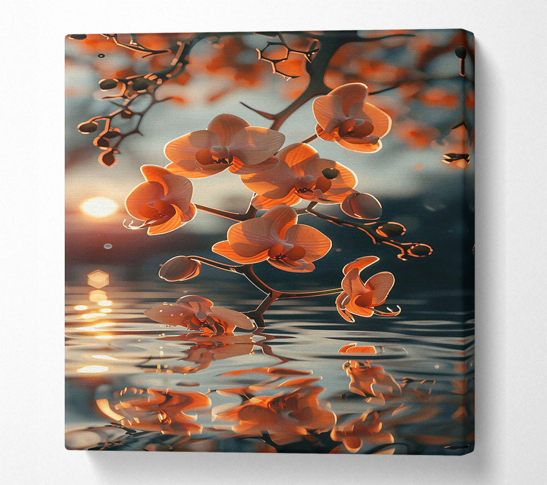  A Canvas Print of Sunset Peach Reflection Canvas Print