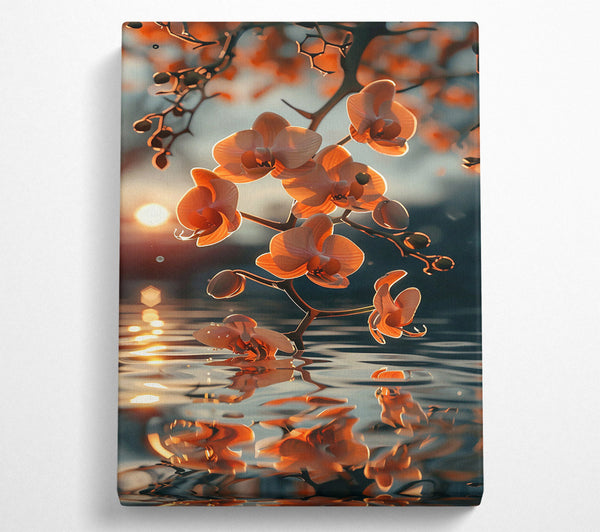  A Canvas Print of Sunset Peach Reflection Canvas Print