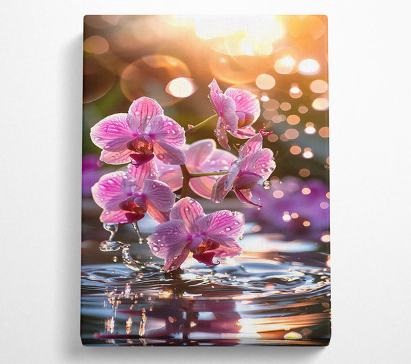  A Canvas Print of Pink Orchid Reflection Canvas Print