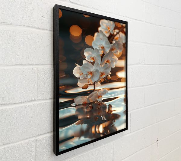 Golden Orchid Reflection