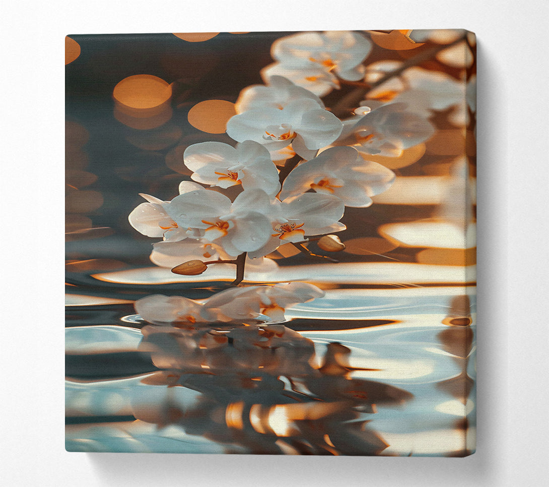  A Canvas Print of Golden Orchid Reflection Canvas Art