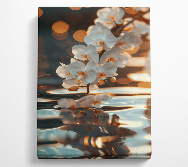  A Canvas Print of Golden Orchid Reflection Canvas Art