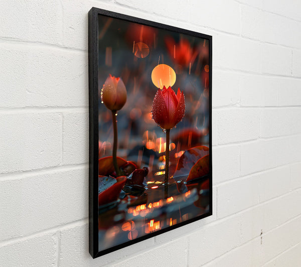 Crimson Bloom Reflection