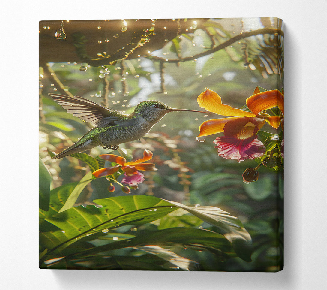 A Canvas Print of Golden Hummingbird Rain Canvas Art