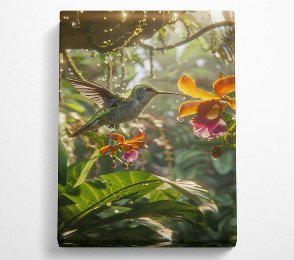  A Canvas Print of Golden Hummingbird Rain Canvas Art