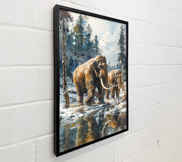 Brown Mammoth Reflections