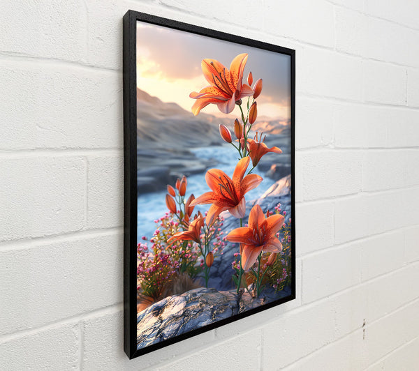 Sunset Orange Lilies