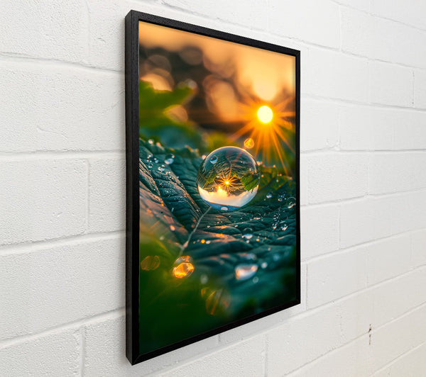 Golden Dewdrop Reflection