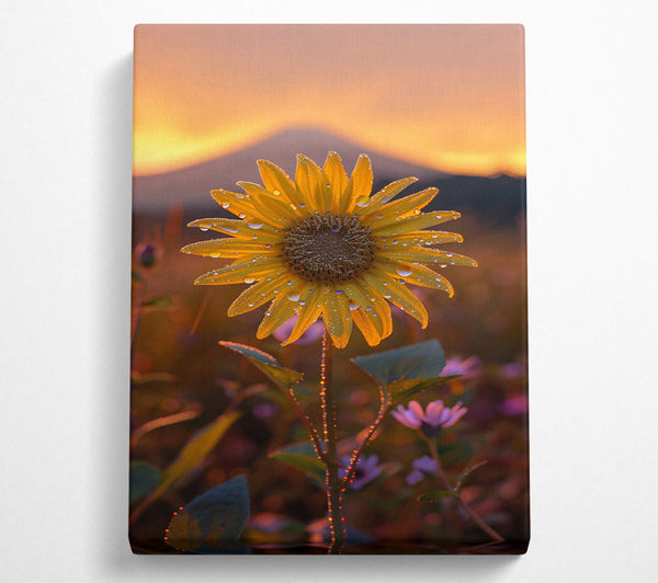  A Canvas Print of Golden Dewdrop Sunrise Canvas Wall Art