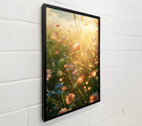 Golden Light Blooms