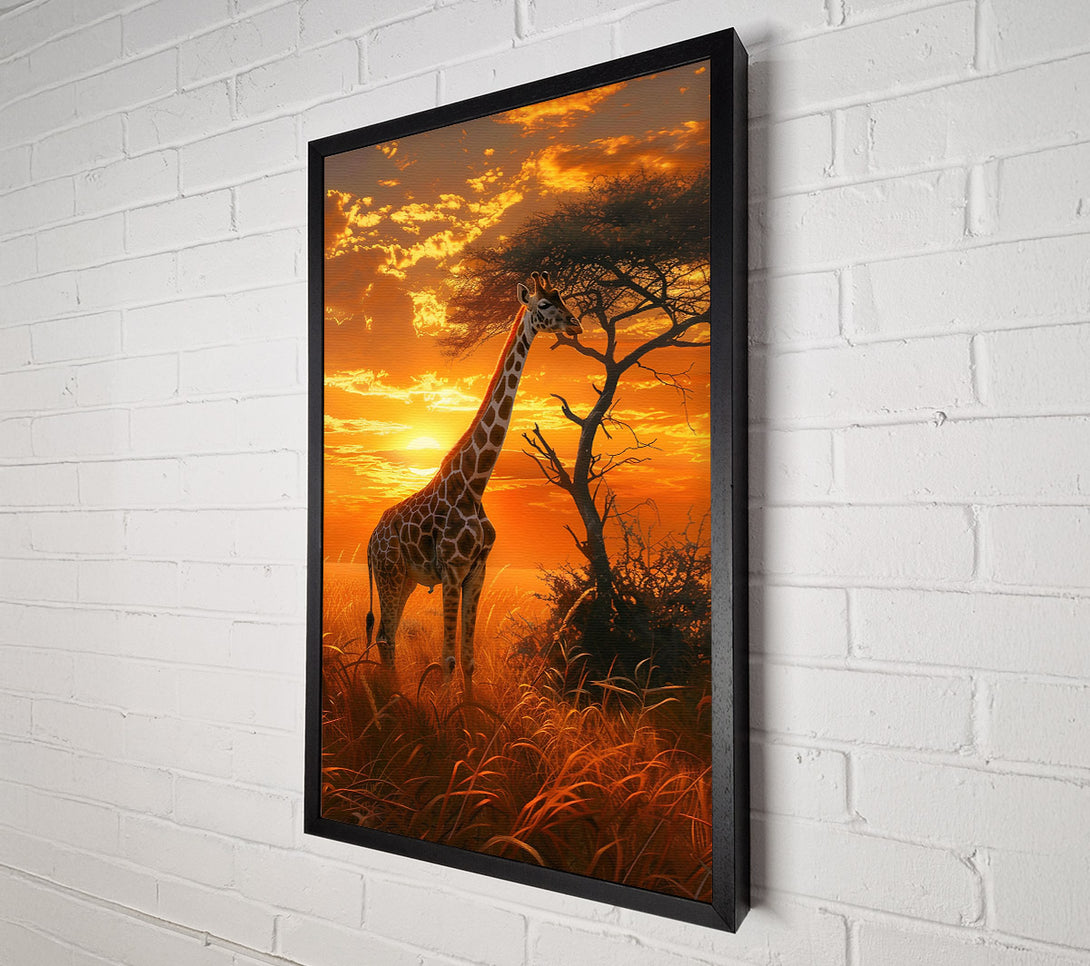  A Canvas Print of Golden Giraffe Sunset Canvas Art