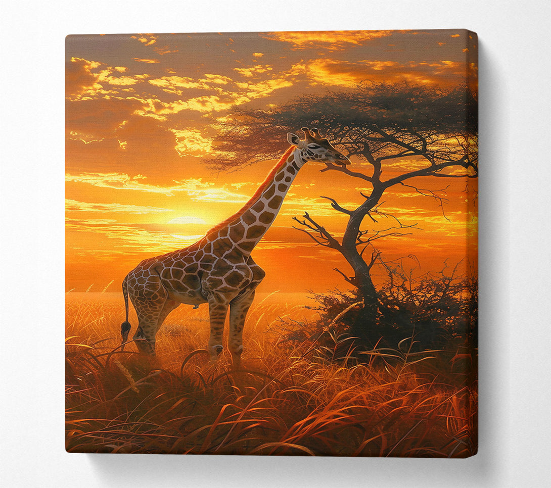  A Canvas Print of Golden Giraffe Sunset Canvas Art
