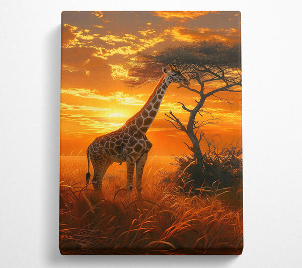  A Canvas Print of Golden Giraffe Sunset Canvas Art