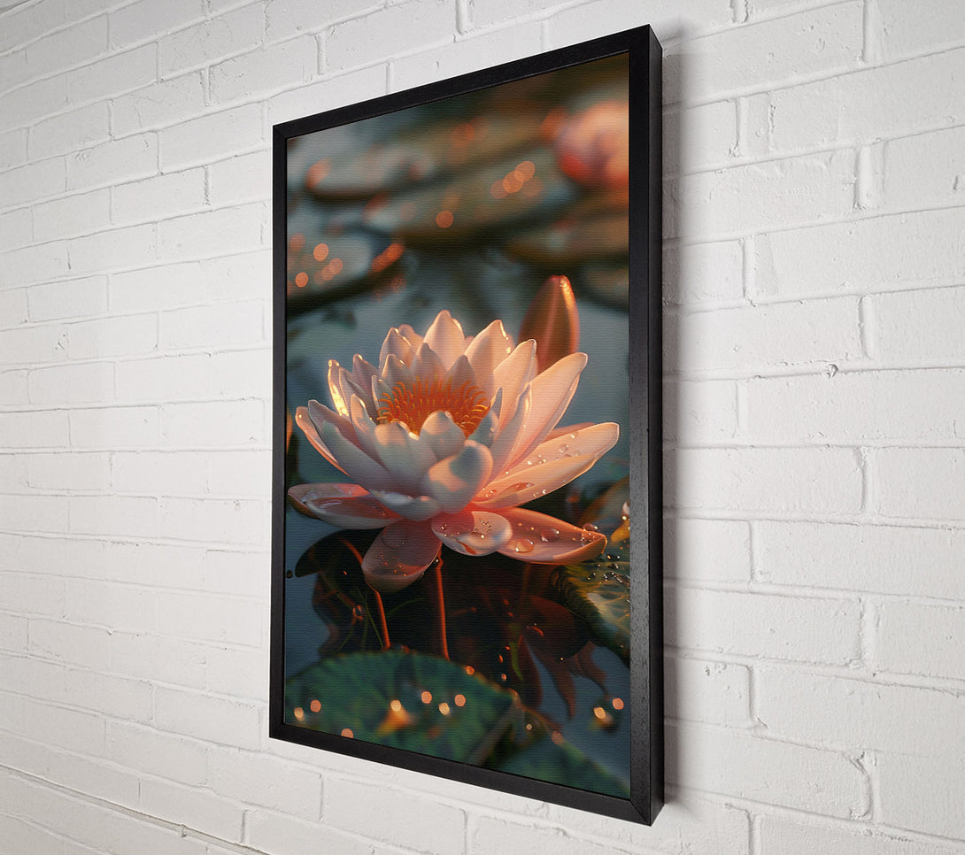  A Canvas Print of Pale Pink Water Lily Canvas Art