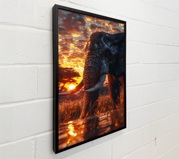 Golden Sunset Giant
