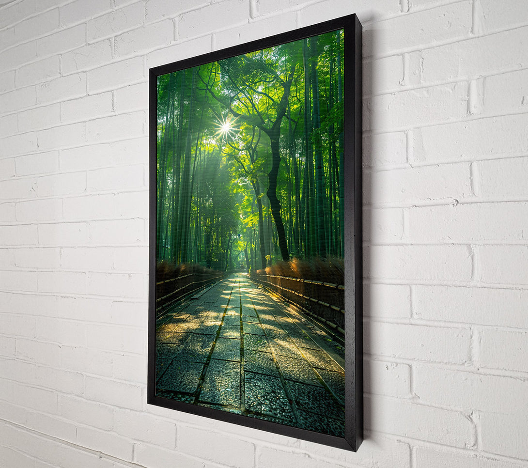  A Canvas Print of Green Path To Sunlight Canvas Print