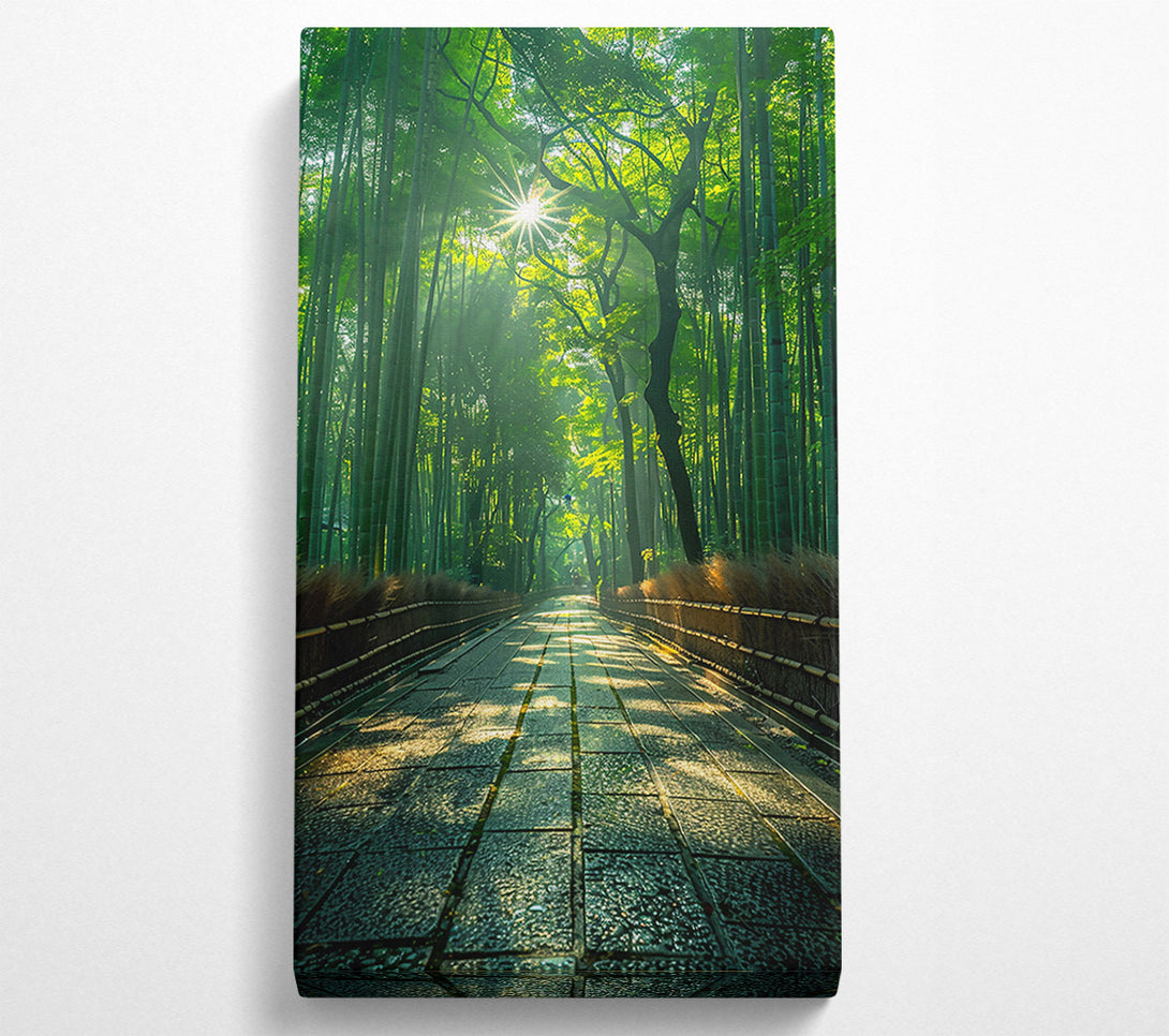  A Canvas Print of Green Path To Sunlight Canvas Print