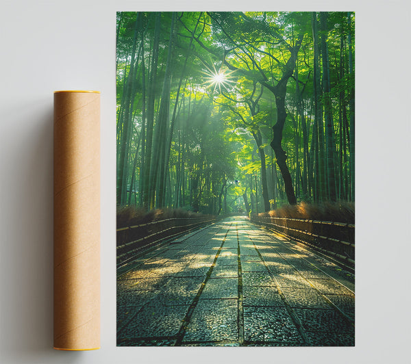 Green Path To Sunlight Giclee Print