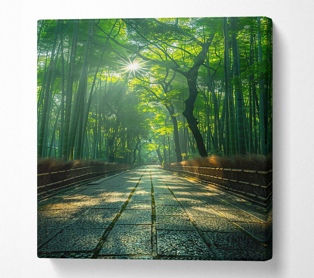  A Canvas Print of Green Path To Sunlight Canvas Print